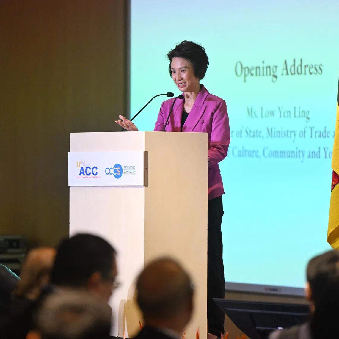Senior Minister of State for Trade and Industry Low Yen Ling said competition policies can promote market efficiency and business innovation, and keep prices affordable.