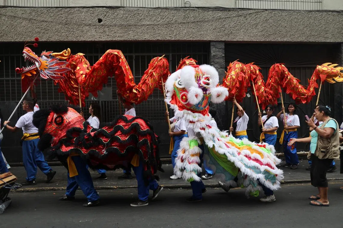 People wearing dragon costumes performing in Chinatown for the celebration of the Chinese New Year, in Lima, Peru, Feb 9, 2024.