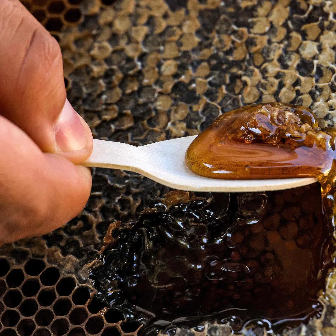 A beekeeper scooping honey from a beehive frame.