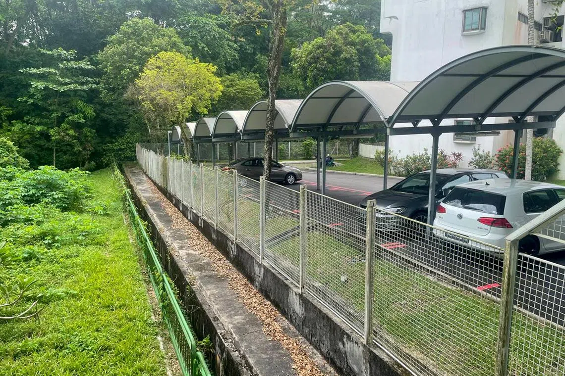 slphd29 - A tall fence opposite 13A Zehnder Road near where Mr John William Richmond died in April 2023