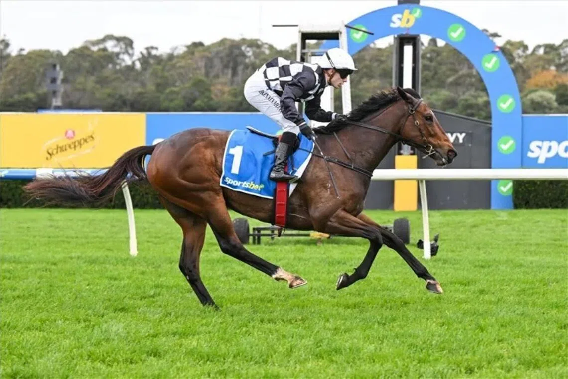 Silent Shares - Victorian apprentice jockey Bailey Kinninmont recording his first metropolitan win, aboard Silent Shares at Sandown on July 15.


PHOTO: RACING PHOTOS