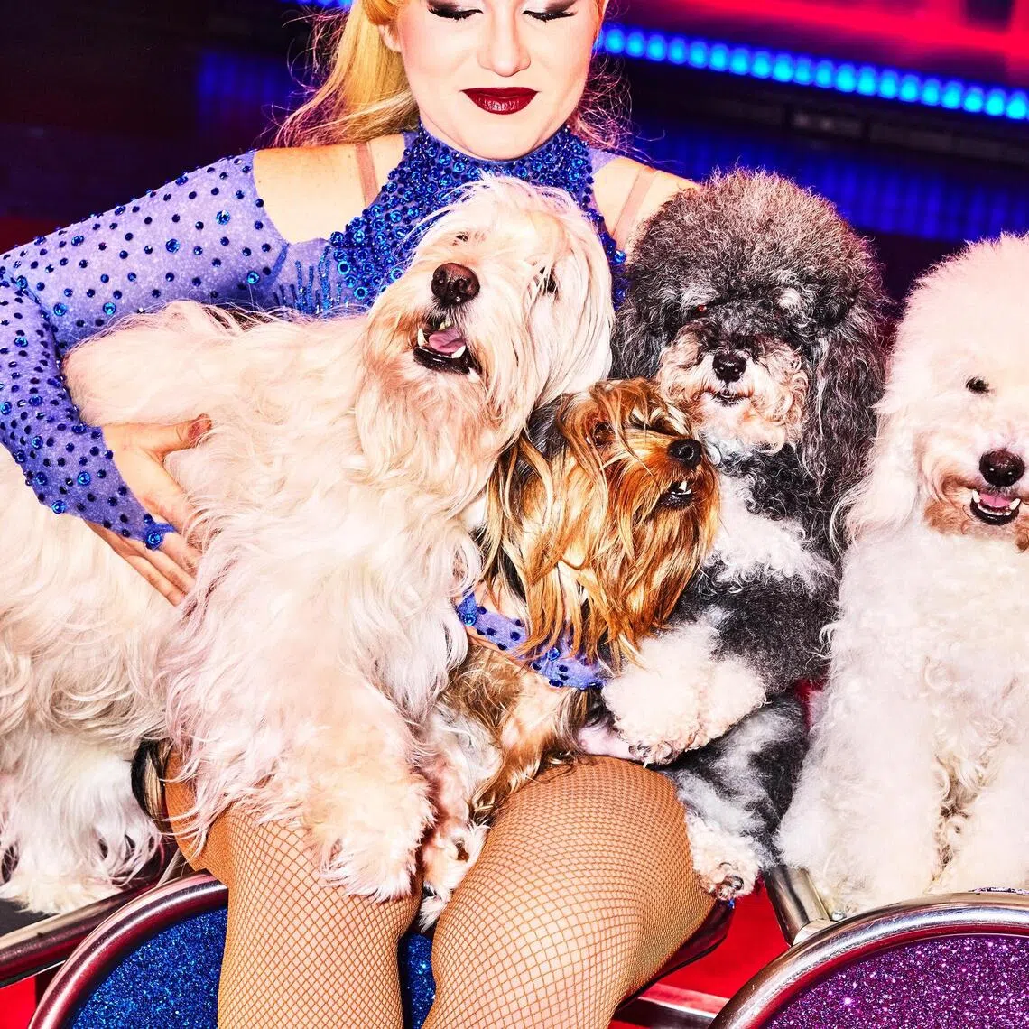 Ms Jirah Whitehouse with some of the members of the Olate dog troupe at the Big Apple Circus, currently in Manhattan on Nov 24, 2025. Mr Juan Quiroz believes that nearly any dog can be a circus dog. 