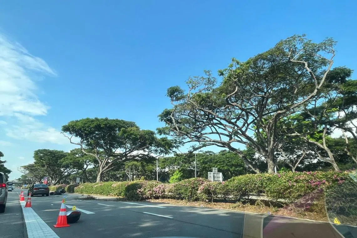 The man was heading towards Changi Airport when his motorcycle skidded.