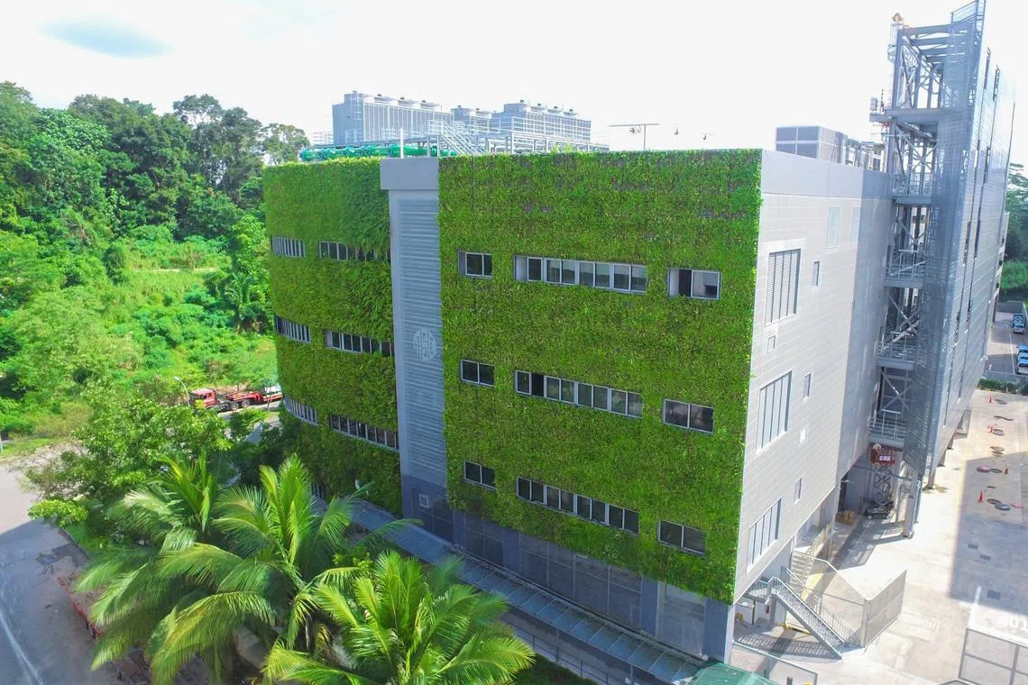A data centre in Tagore Lane owned by Dodid, which was acquired by YTL Data Centre Holdings in December 2021.