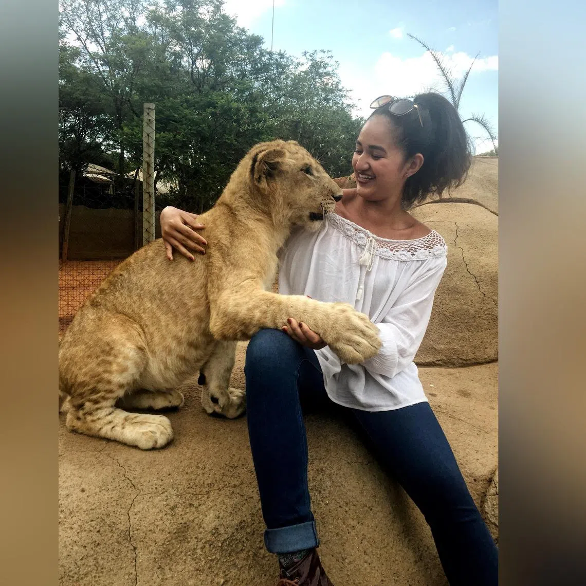 The writer visited a safari park in South Africa in 2016, and was allowed to pet lion cubs.