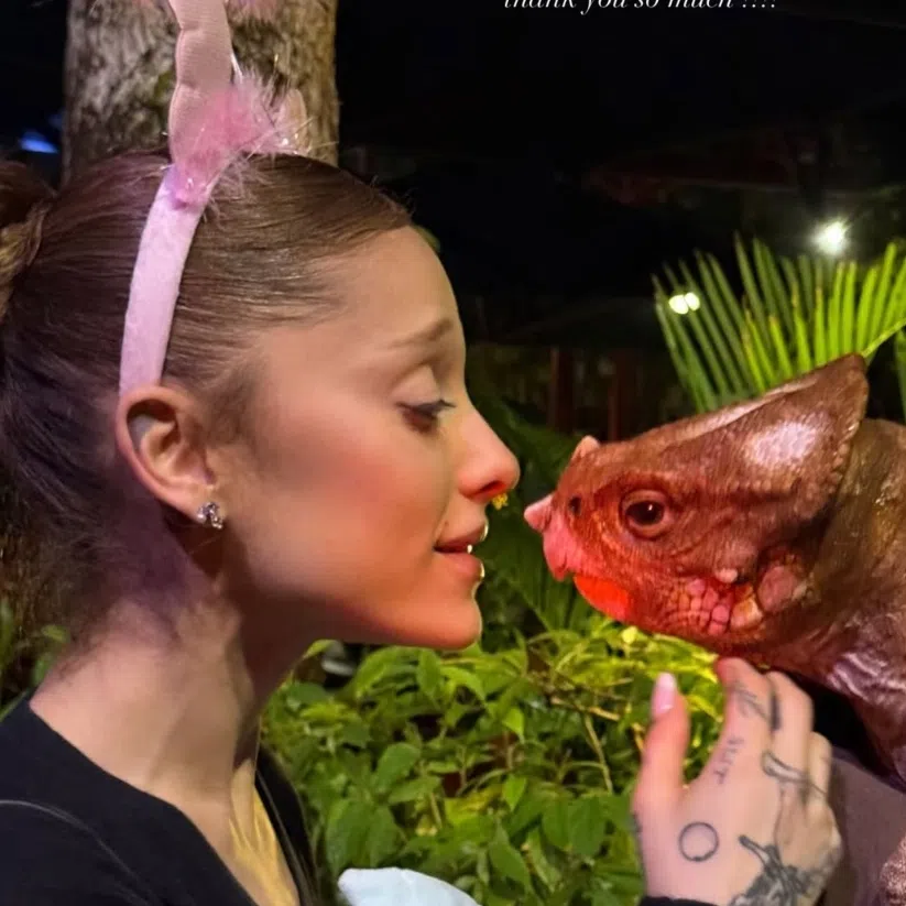 Ariana Grande and Cynthia Erivo are in town to promote the sequel Wicked: For Good.