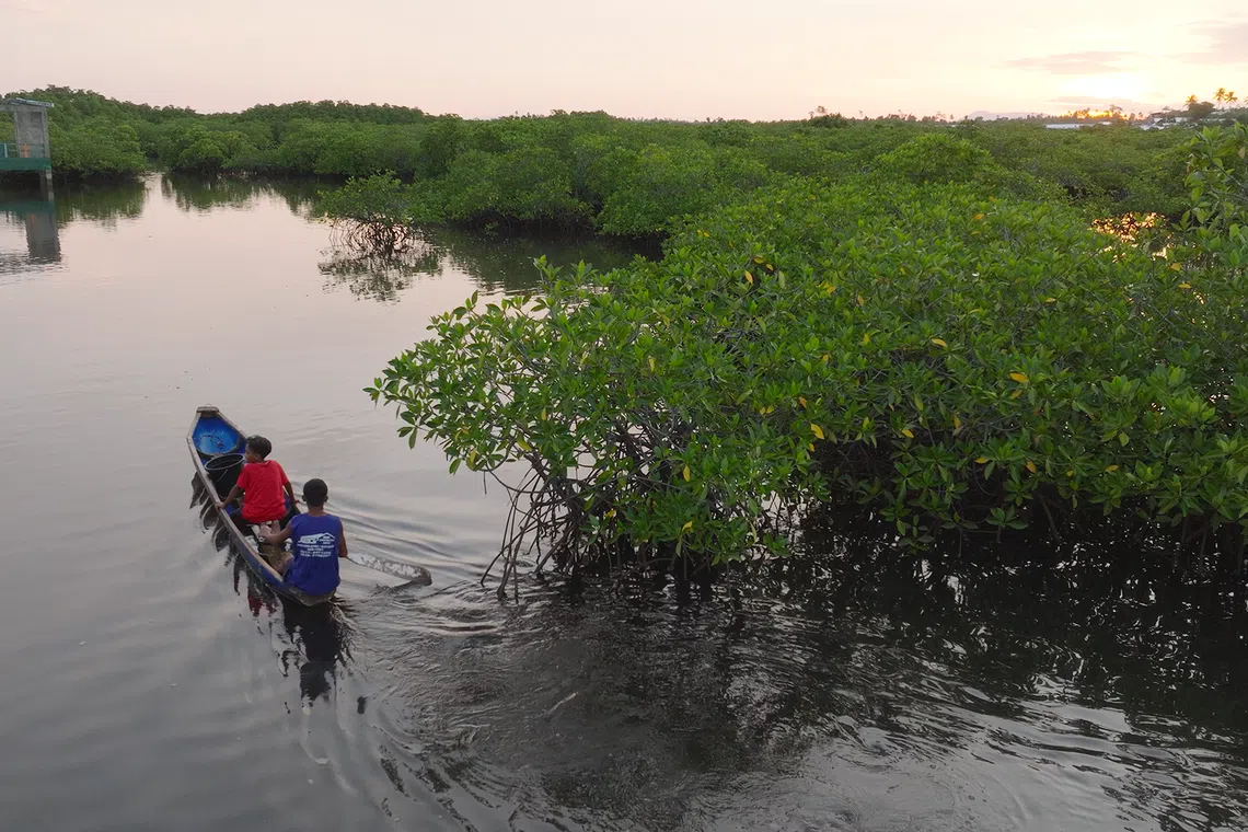 Coastal waters make up just 6 per cent of the world's oceans but contain 70 per cent of marine biodiversity.