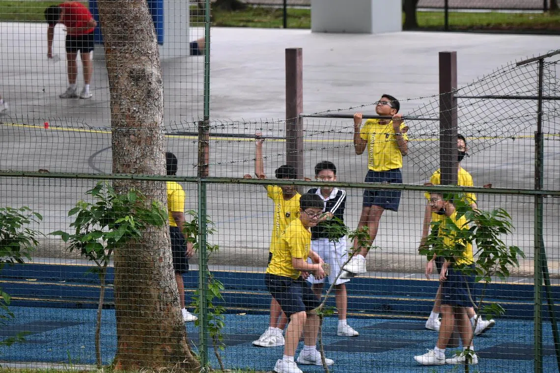 In the long run, not being active can negatively affect children’s development, including mental well-being and social skills.