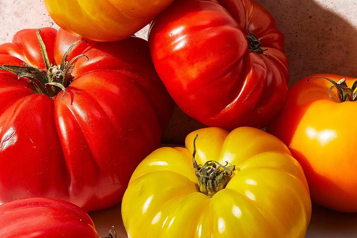 Tomatoes have come a long way since the 16th century, when some Europeans called them "poison apples" because they were mistakenly believed to be toxic. 