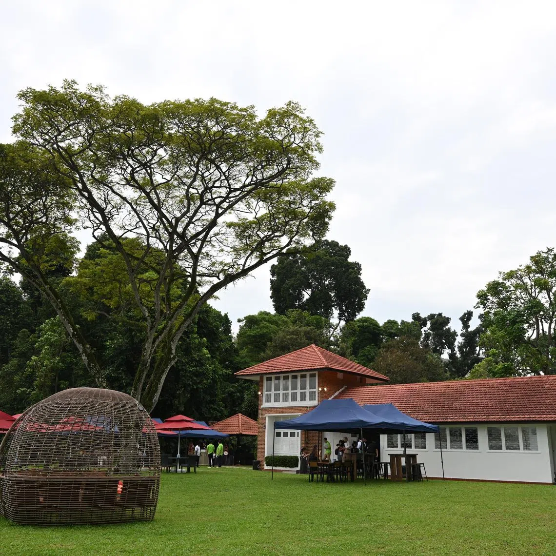 ST20231122-202345233844-Lim Yaohui-Chin Soo Fang-sflky22/

Exterior of Changi Cottage on Nov 22, 2023. 

In commemoration of the 100th birth anniversary of the late Mr Lee Kuan Yew (LKY100), the Civil Service Club (CSC) and National Library Board (NLB) unveiled a Node at the Changi Cottage where Mr Lee stayed and worked in after Singapore's independence from Malaysia in 1965.

Changi Cottage at 26 Netheravon Road holds historical significance. Built in 1951, the cottage was one of the thinking spaces of Mr Lee, a place that inspired ideas and important decisions that contributed to SingaporeÕs success story today. 

(ST PHOTO: LIM YAOHUI)