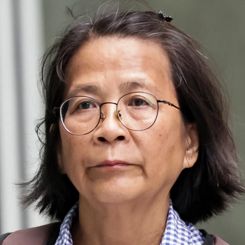 Ng Chye Huay (left) handed six charges under the Public Order Act, while S. Suraendher Kumarr was charged for his alleged role in three unlawful assemblies.