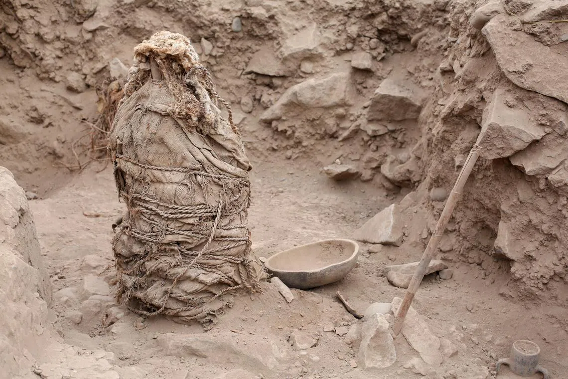 One of five mummies, that according to archaeologists belong to the pre-Inca Ychsma culture that inhabited the central coast of Peru from approximately 900 to 1450 AD., is pictured at the Huaca La Florida archaeological site in Lima, Peru on Nov 21, 2023. 