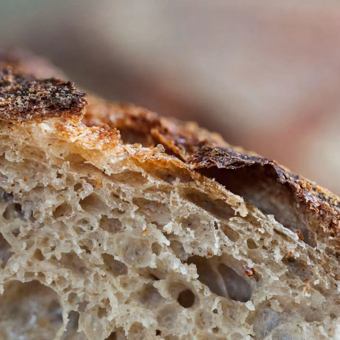The scientists discovered four different yeasts that can survive sub-zero temperatures in the Iceman's guts.