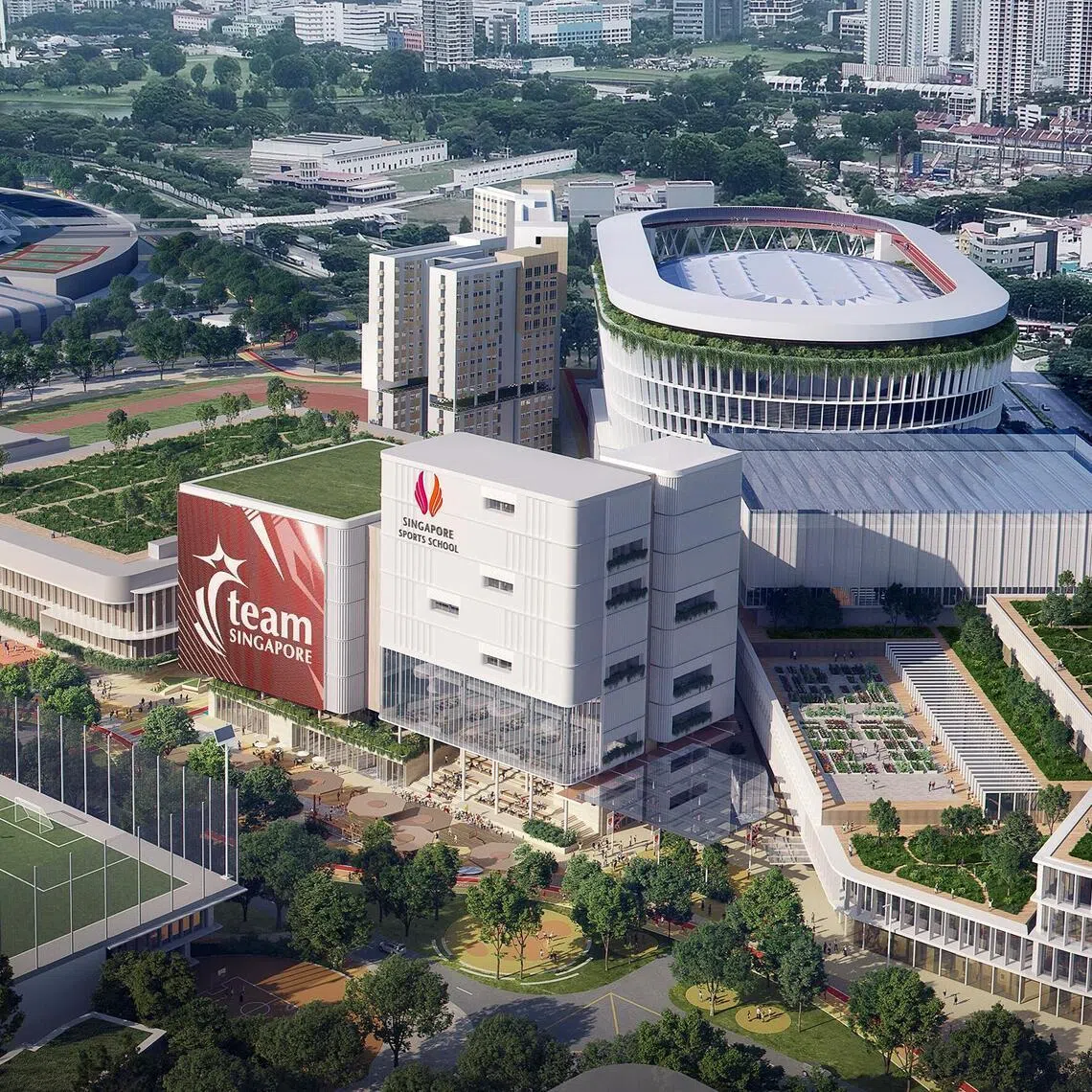 In March 2025, it was announced that the Singapore Sport Institute, National Youth Sports Institute and Singapore Sports School would be consolidated under a single entity.