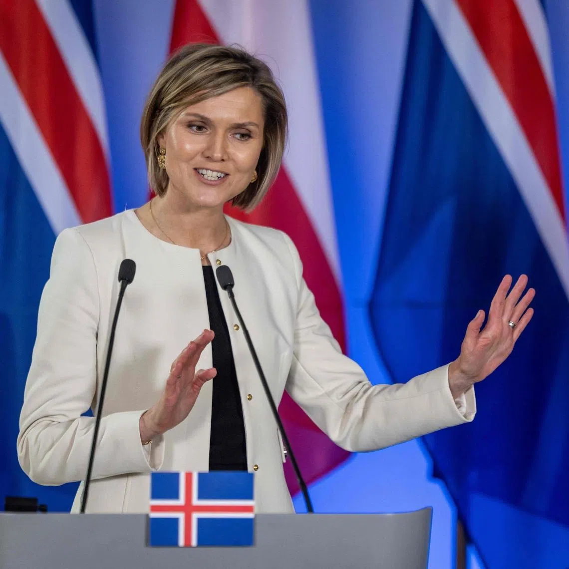 Icelandic Prime Minister Kristrun Frostadottir’s coalition government had planned to hold a referendum on the country’s possible European Union membership at some point in 2027. 