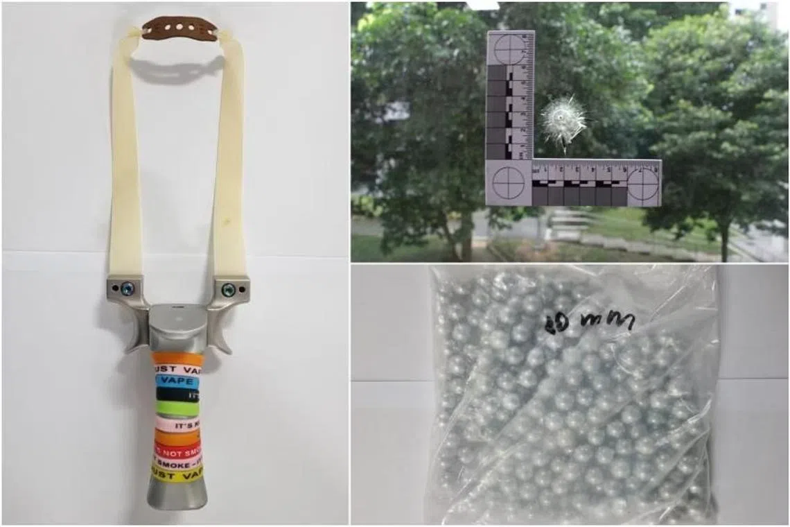 Yu Xueyao allegedly shot metal and clay pellets at a flock of birds, with one of the pellets damaging a kitchen window.