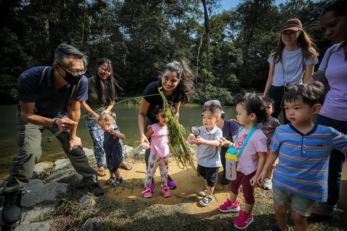 ST20220921_202260884214/Gavin/Amelia/Children at Preschool by the Woods @ Westlake going for a walk at MacRitchie Reservoir. The centre is located near the MacRitchie Reservoir and Forest.