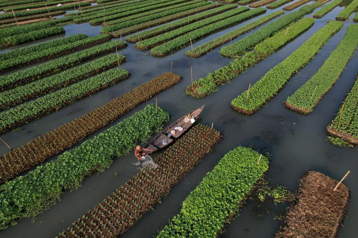 A farmer irrigates his floating bed, at his farm in Pirojpur, Bangladesh, on Aug 16, 2022. 