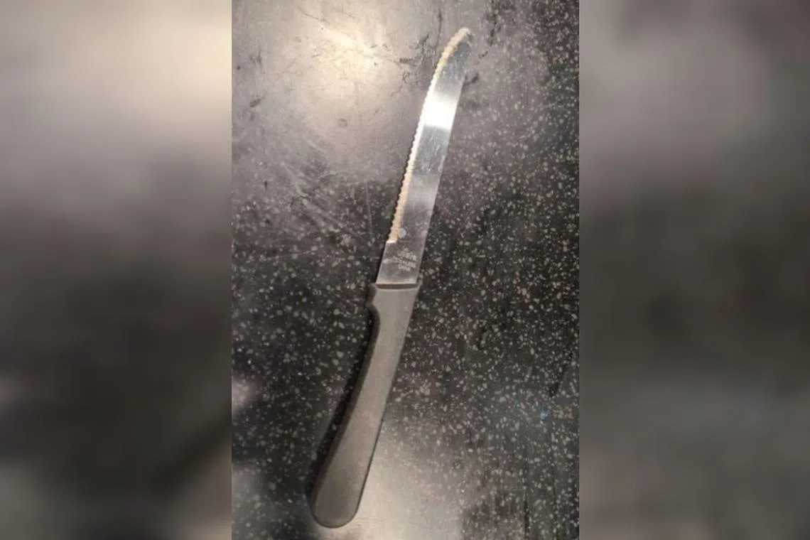 The woman allegedly armed herself with a knife taken from the restaurant’s table and attempted to rob a patron.
