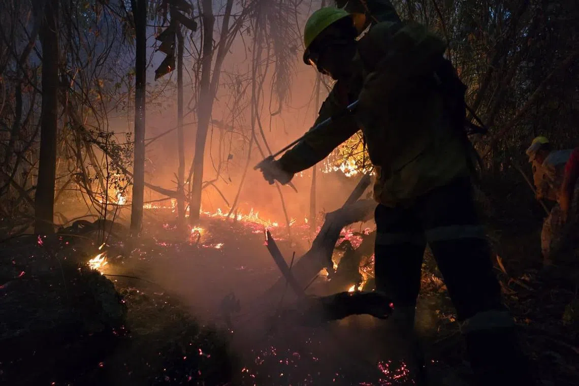 This handout picture released by the Bolivian Civil Defense shows Bolivia's Armed Forces forest firefighters fighting a wildfire in the area of Yaguaru, Santa Cruz department, Bolivia, on October 3, 2024. On September 30, the Bolivian government decreed a "national disaster" due to the unprecedented forest fires affecting mainly Santa Cruz, the country's richest and most populated department. (Photo by Handout / Bolivian Civil Defense / AFP) / RESTRICTED TO EDITORIAL USE - MANDATORY CREDIT "AFP PHOTO / BOLIVIAN CIVIL DEFENSE" - NO MARKETING NO ADVERTISING CAMPAIGNS - DISTRIBUTED AS A SERVICE TO CLIENTS
