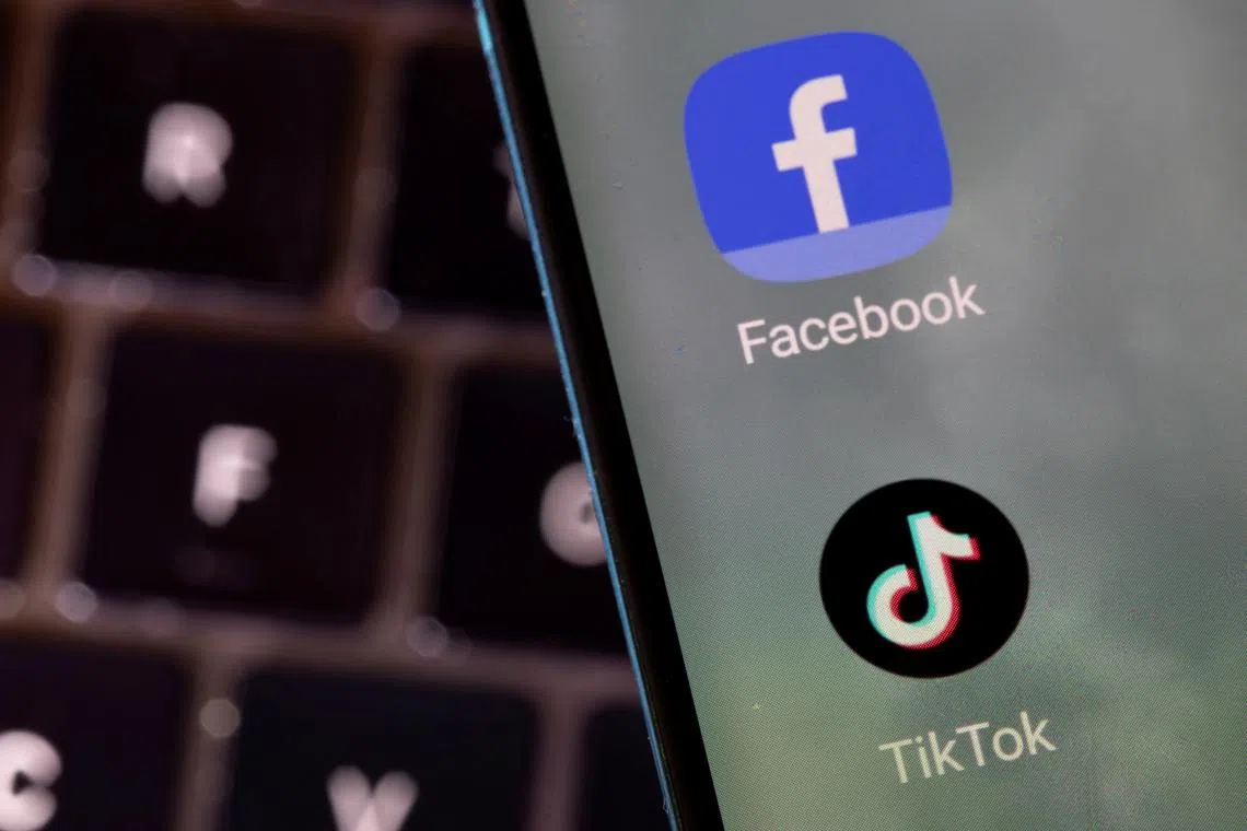 Besides TikTok, other apps such as Facebook are also subject to the same need-to policy, said the Smart Nation and Digital Government Group.