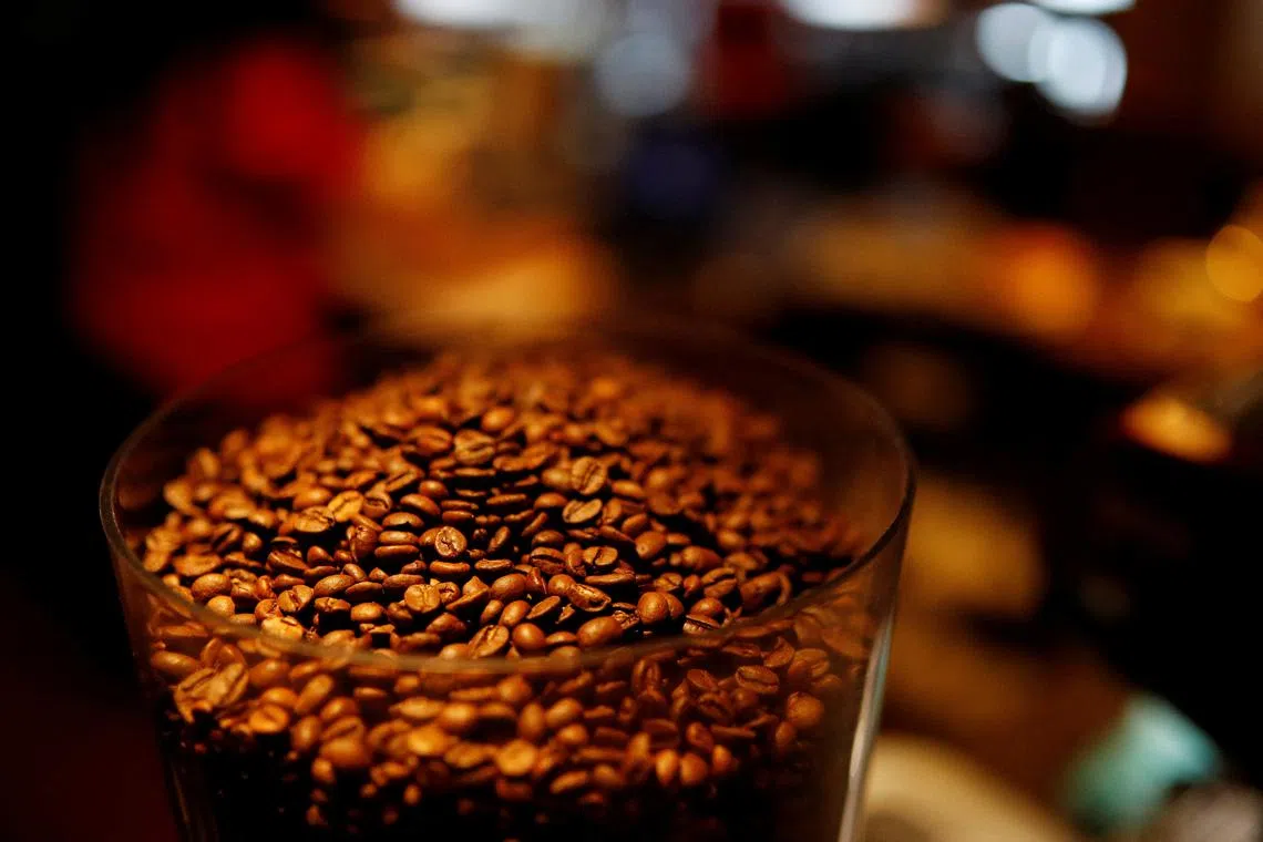 Brazilian researchers have been crossing different coffee plants that naturally have very low caffeine content.