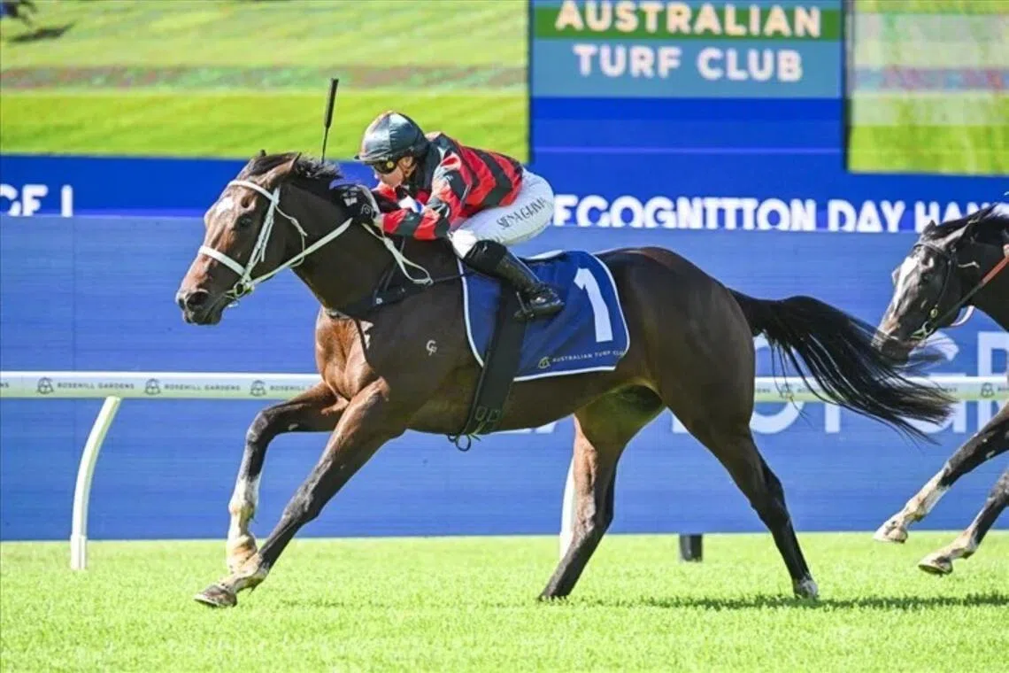 Tron Bolt (Sienna Grima) scoring an easy win in a 2YO Handicap over 1,300m at Rosehill on May 30.
