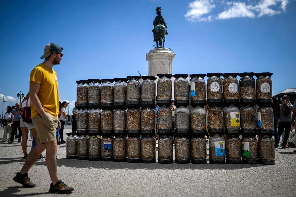 Containers, full of cigarette butts collected in one week, are displayed at Comercio square in Lisbon on April 23, 2023. Environmental activists gathered in one week around 650,000 cigarette butts and piled them to raise awareness against this type of pollution. 