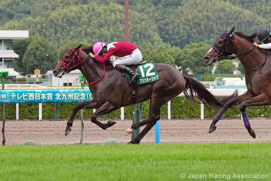 Flicker Jab (Kohei Matsuyama) posting an easy win in the Grade 3 Kitakyushu Kinen (1,200m) at Kokura racecourse in Fukuoka on July 5.

PHOTO: JRA