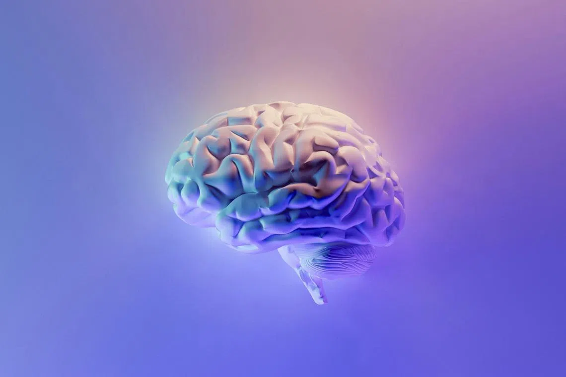 Nobody would argue that the fundamental biology of the human brain has changed in that far-too-short time span. 