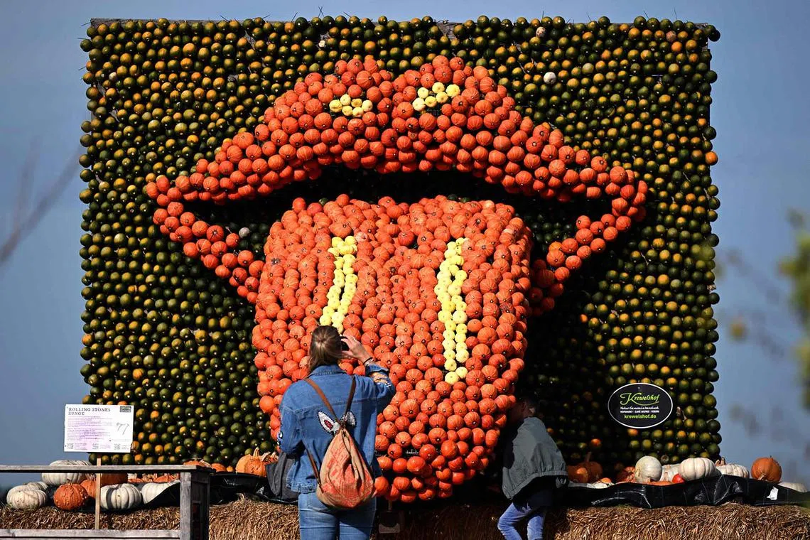 TOPSHOT - Visitors look on an exhibit depicting the logo of the Rolling Stones in from of a tongue at a pumpkin exhibition themed around the theme of music at the Krewelshof near Mechernich, western Germany, on October 16, 2024. (Photo by Ina FASSBENDER / AFP)