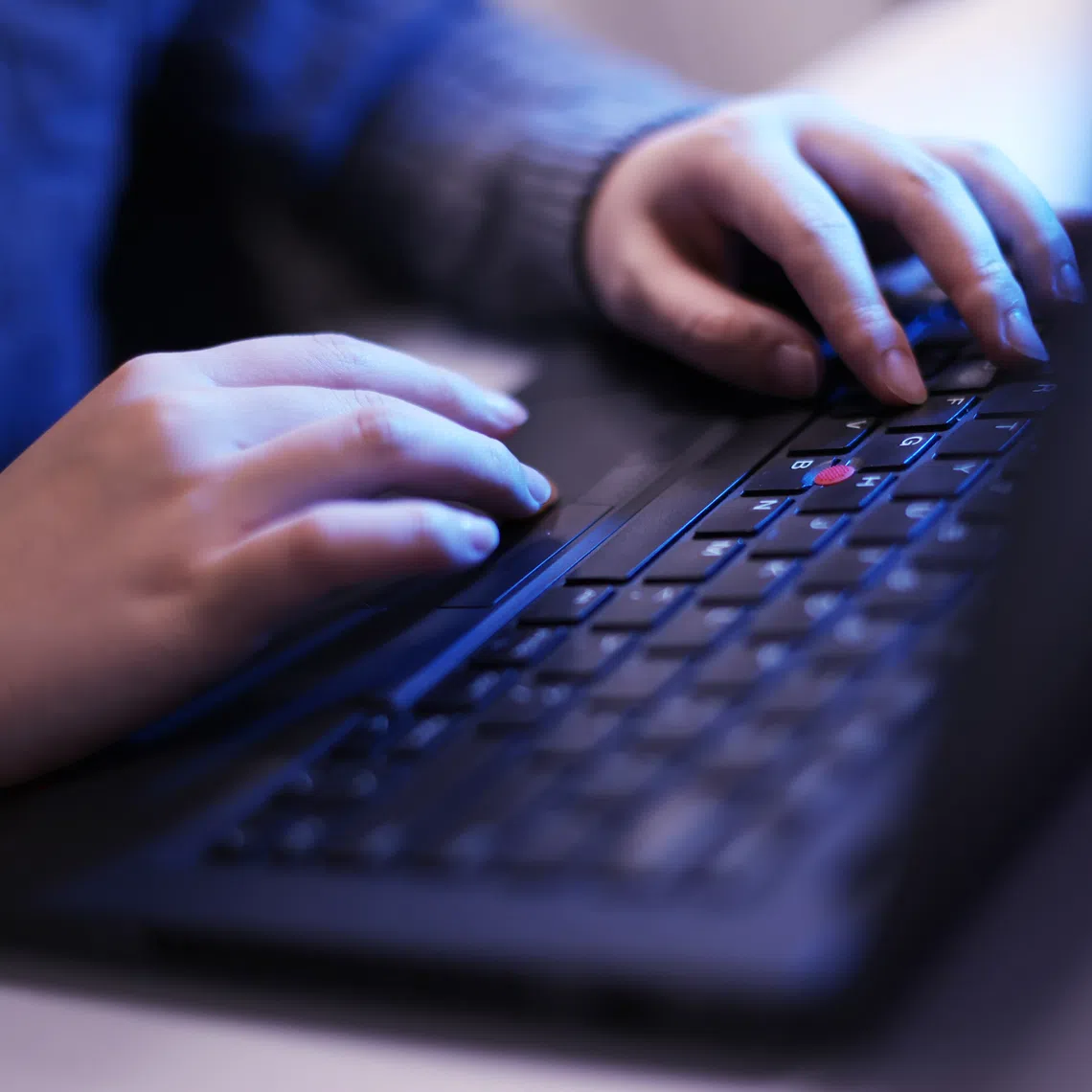 More support will be also given to individuals and households in accessing digital tools and services.