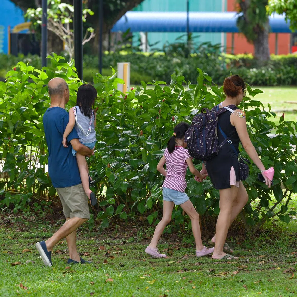 About 40.1 per cent of Singaporean ever-married women aged 40 to 49 have no children or one child, while 41.8 per cent have two.