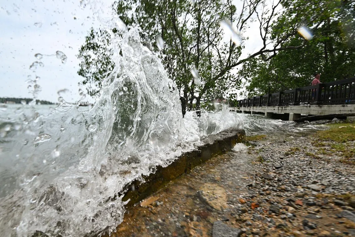 According to Singapore’s third national climate change study published in 2024, mean sea levels could rise by 23cm in the best possible scenario, or by 1.15m in the worst-case scenario, by 2100.