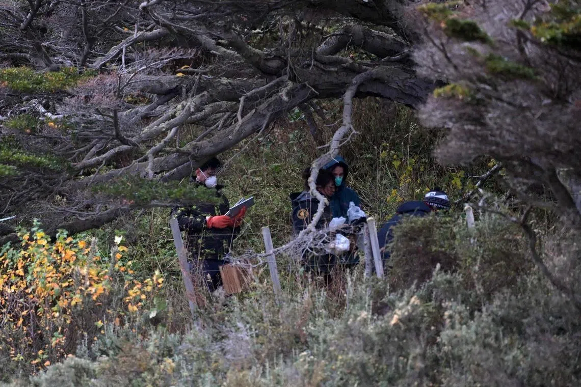 Scientists set mouse traps in the forest near Ushuaia, Argentina on May 18.