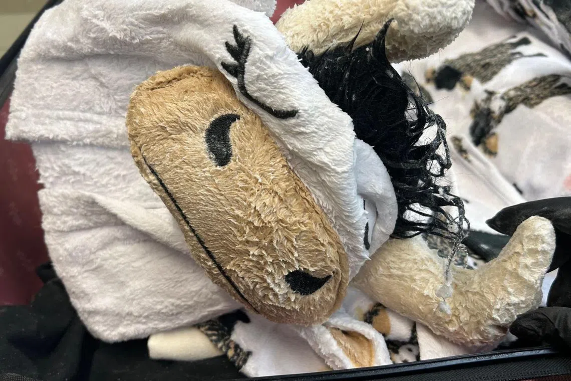 This handout image courtesy of US Department of Justice shows a methamphetamine-soaked cow-pajama seized at LAX on November 6, 2024 from a passenger intending to fly from Los Angeles to Sydney, Australia. A would-be drug smuggler soaked a cow onesie in meth, part of a whole suitcase full of clothes he tried to sneak aboard a plane, US justice officials said November 26.
Raj Matharu checked in two suitcases at Los Angeles International Airport on a flight to Sydney, in Australia, the US Department of Justice said.
As the bags passed through X-ray machines, customs officers became suspicious and opened them up for a closer look. (Photo by US DEPARTMENT OF JUSTICE / AFP) / RESTRICTED TO EDITORIAL USE - MANDATORY CREDIT "AFP PHOTO / US Department of Justice / HANDOUT " - NO MARKETING NO ADVERTISING CAMPAIGNS - DISTRIBUTED AS A SERVICE TO CLIENTS