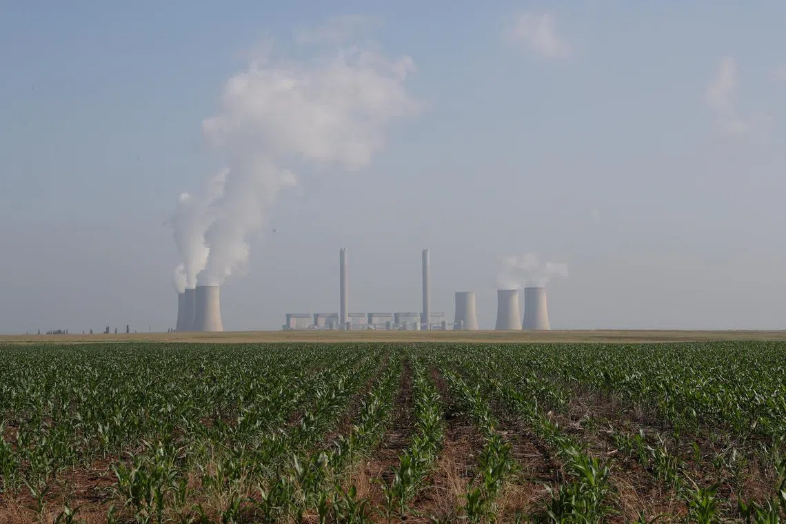 Green investments or greenwash? Find out more in this episode of Green Pulse where we discuss rainforest carbon offsets.