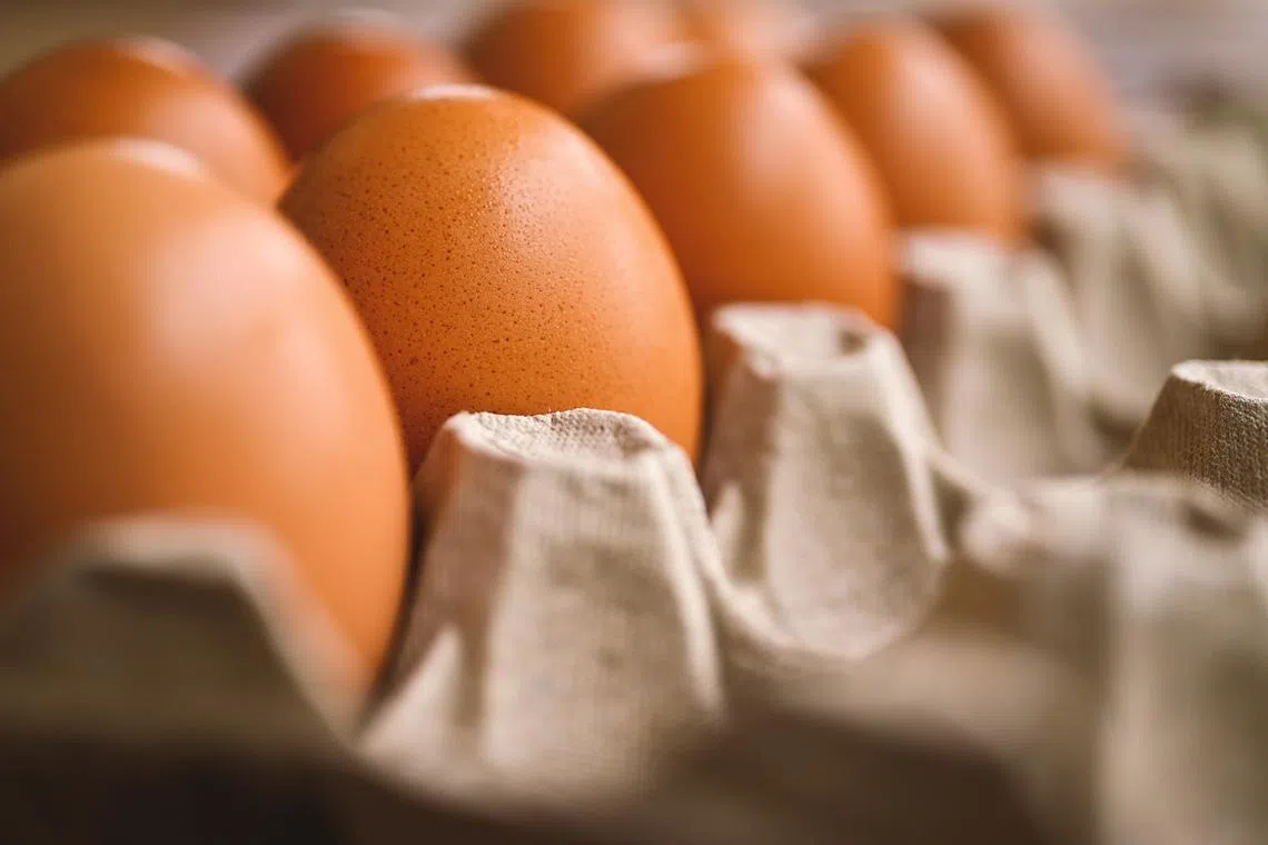 The new prices for Grade A, B, and C eggs will be set at 42 cents (S$0.12), 40 cents, and 38 cents per egg, respectively.
