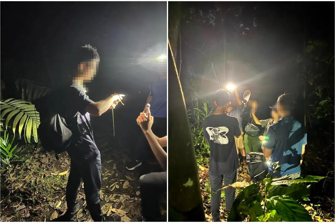 NParks staff member among several people being inv