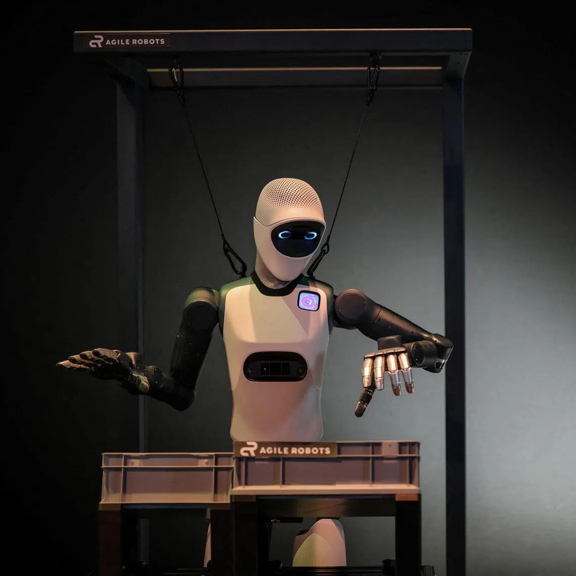 Humanoid robots have become increasingly dexterous recently, as they prove capable of performing tasks such as choreographed dances and landing backflips.