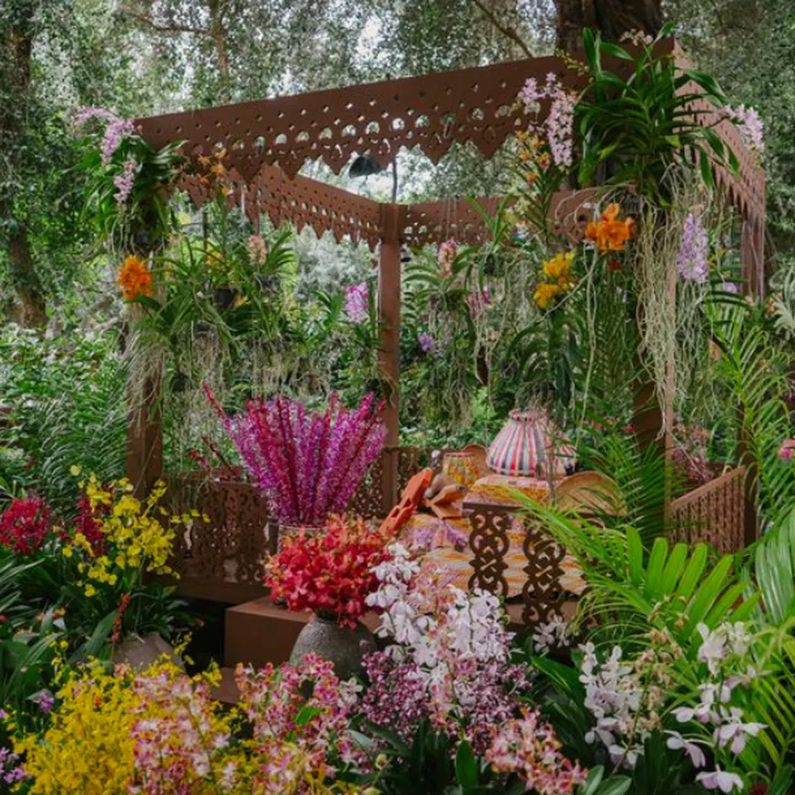 The display features over 600 orchids from over 15 native and hybrid species. 