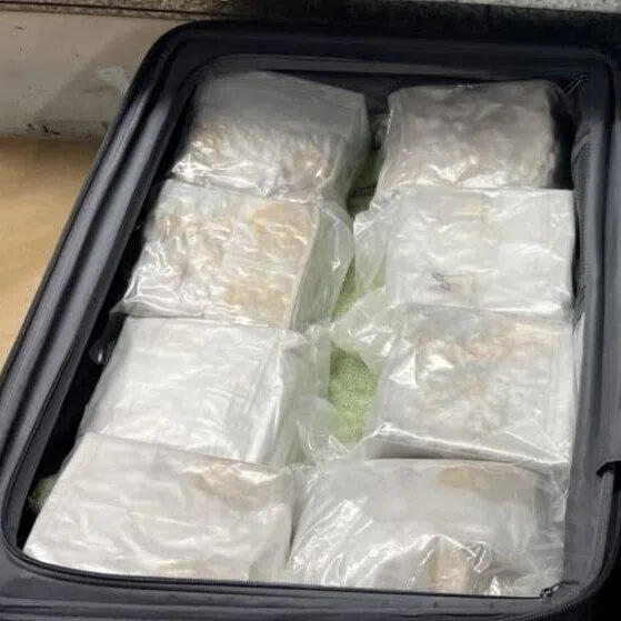 New Zealand Customs Service estimated that the methamphetamine seized could produce up to 922,500 doses, with a potential street value of NZ$5.53 million (S$4.1 million).
