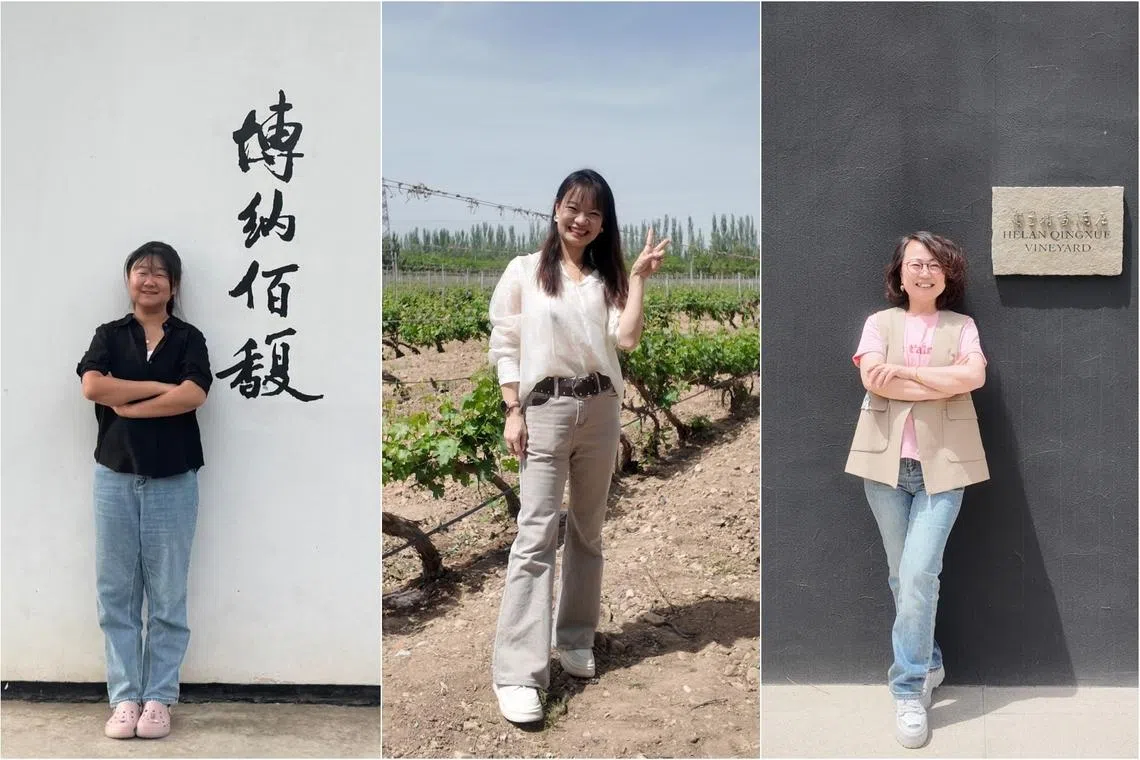 straitstimes.com - Sarah Stanley - Ningxia wine: How women are reshaping China's wine industry