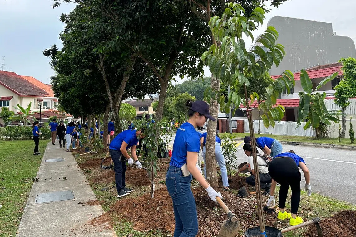 Staff of Allen & Gledhill taking part in a tree planting exercise in September 2023. The law firm has been active in the ESG arena.