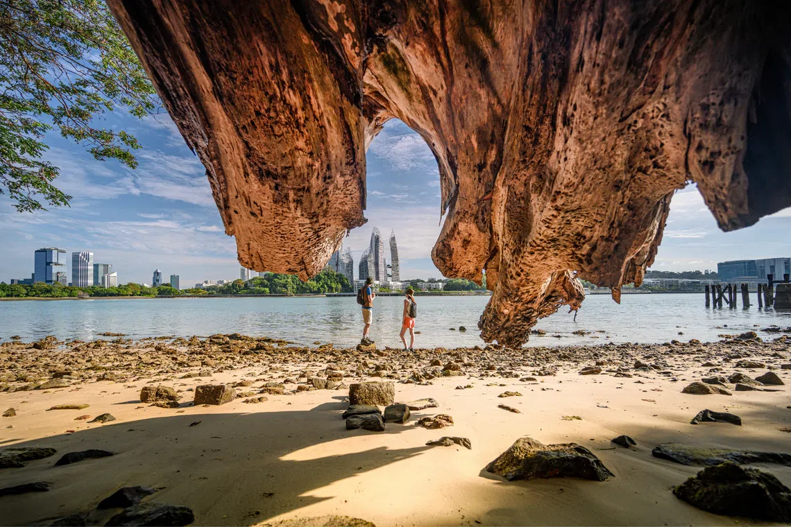 sentosa nature hikes