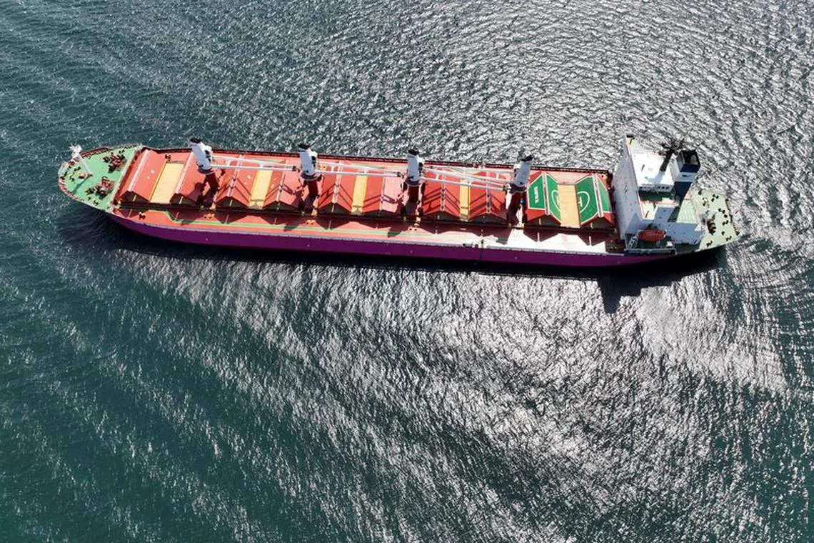 FILE PHOTO: Saint-Kitts-and-Nevis-flagged bulker TK Majestic, carrying grain under the UN's Black Sea Grain Initiative, waits in the southern anchorage of the Bosphorus in Istanbul, Turkey July 15, 2023. REUTERS/Mehmet Emin Caliskan/File Photo