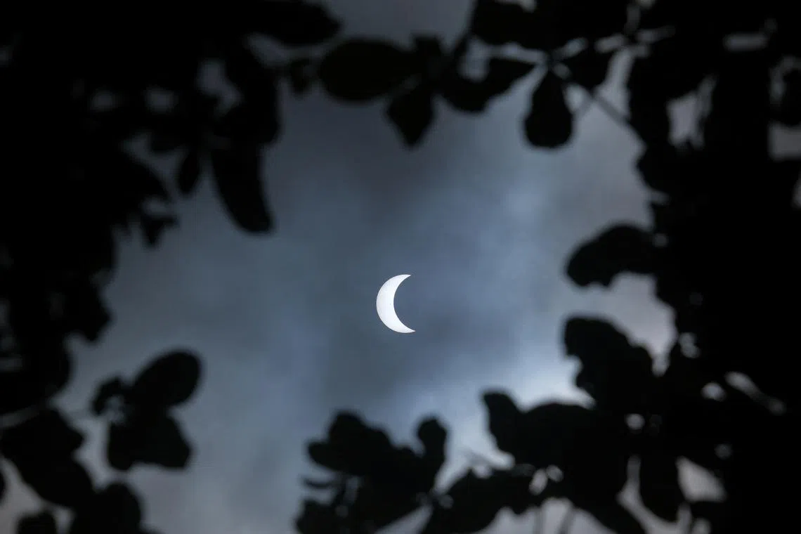 A rare hybrid solar eclipse is seen between trees at Segara Ayu beach in Denpasar, Bali, Indonesia, April 20, 2023.