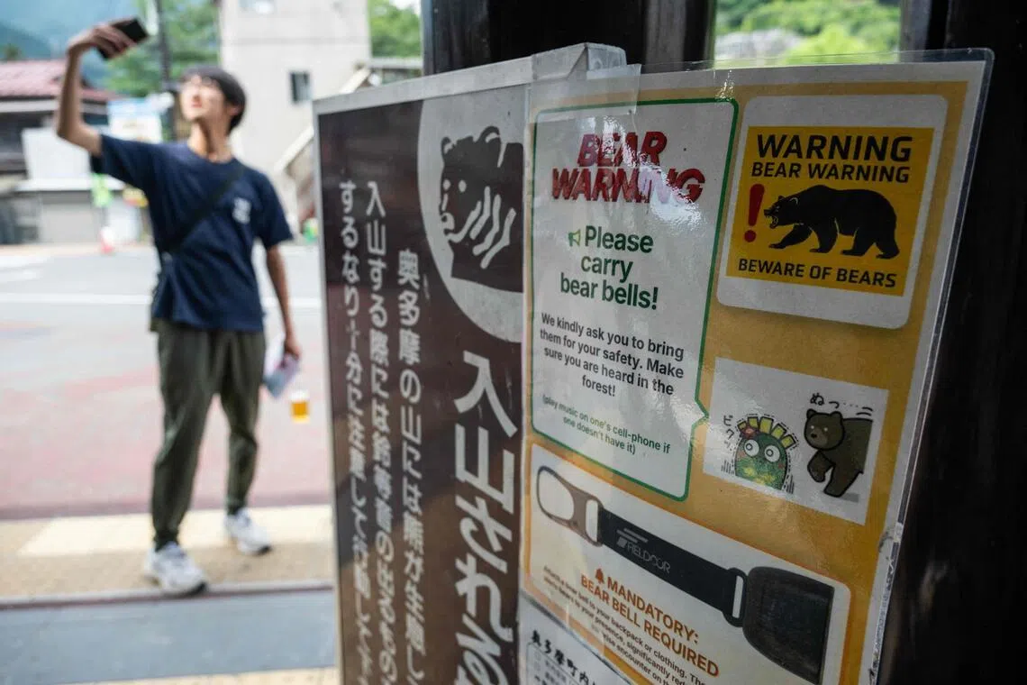 Tokyo govt to work with startups to ward off bears; possible measures include AI detection system