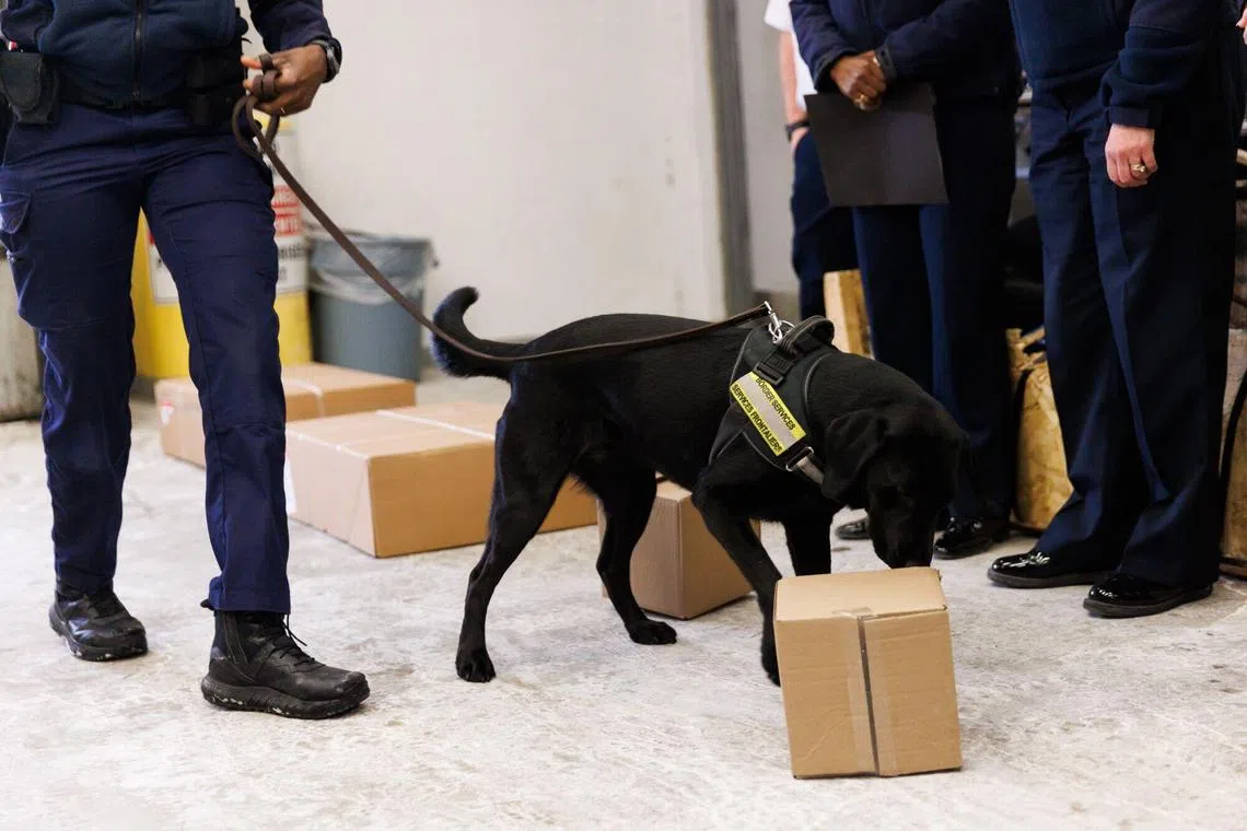 The show of brawn – including drug-sniffing dogs – is directed at a president who’s looking to prove to Americans he’s forcing action on the fentanyl crisis from the countries that border his own.