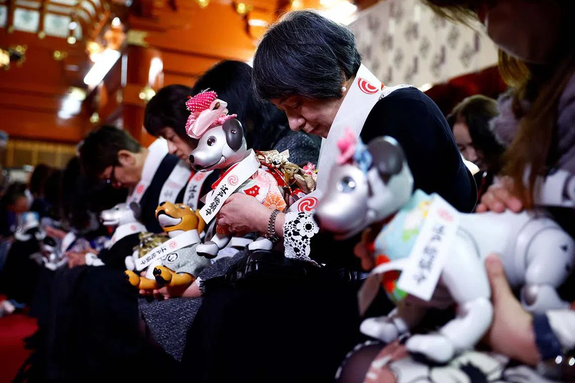 Owners of Sony robotic dog Aibo praying for their pet's health during an annual ceremony called Shichi-Go-San, which is usually held to pray for children's health and wellbeing, at the Kanda Myojin shrine in Tokyo, Japan, Nov 20, 2024. 
